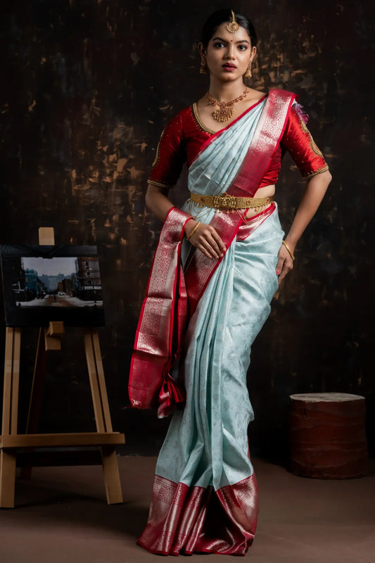 shrivvi-sky-blue-silk-saree-with-floral-work-red-border